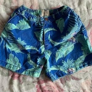 Hollister Mid-Thigh Shorts (Small)